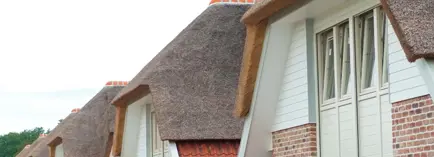 Header afbeelding Nieuwbouw Rieten Dak Nb (1)