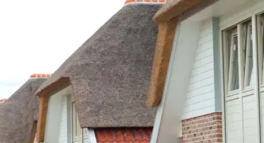Nieuwbouw Rieten Dak Nb
