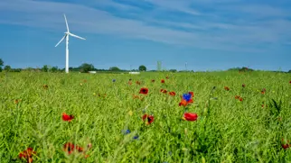 Rasmus Andersen S7v U5dlz7c Unsplash