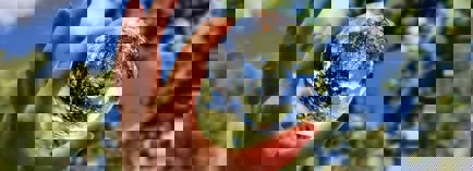 Header afbeelding Margot Richard Njj7pasbo C Unsplash