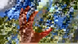 Margot Richard Njj7pasbo C Unsplash